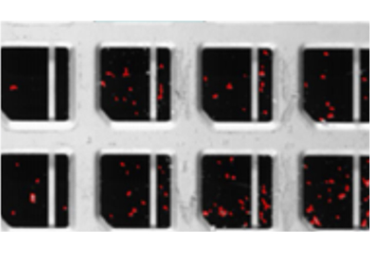 框架/基板AOI自動(dòng)檢測(cè)設(shè)備 框架/基板AOI自動(dòng)檢測(cè)設(shè)備