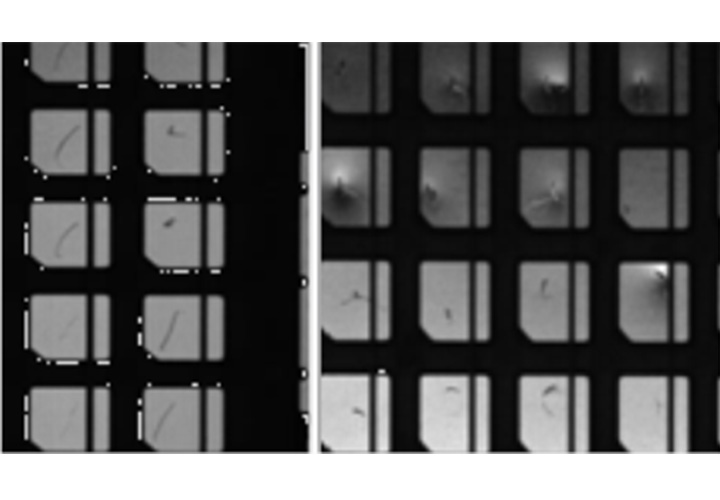 框架/基板AOI自動(dòng)檢測(cè)設(shè)備 框架/基板AOI自動(dòng)檢測(cè)設(shè)備